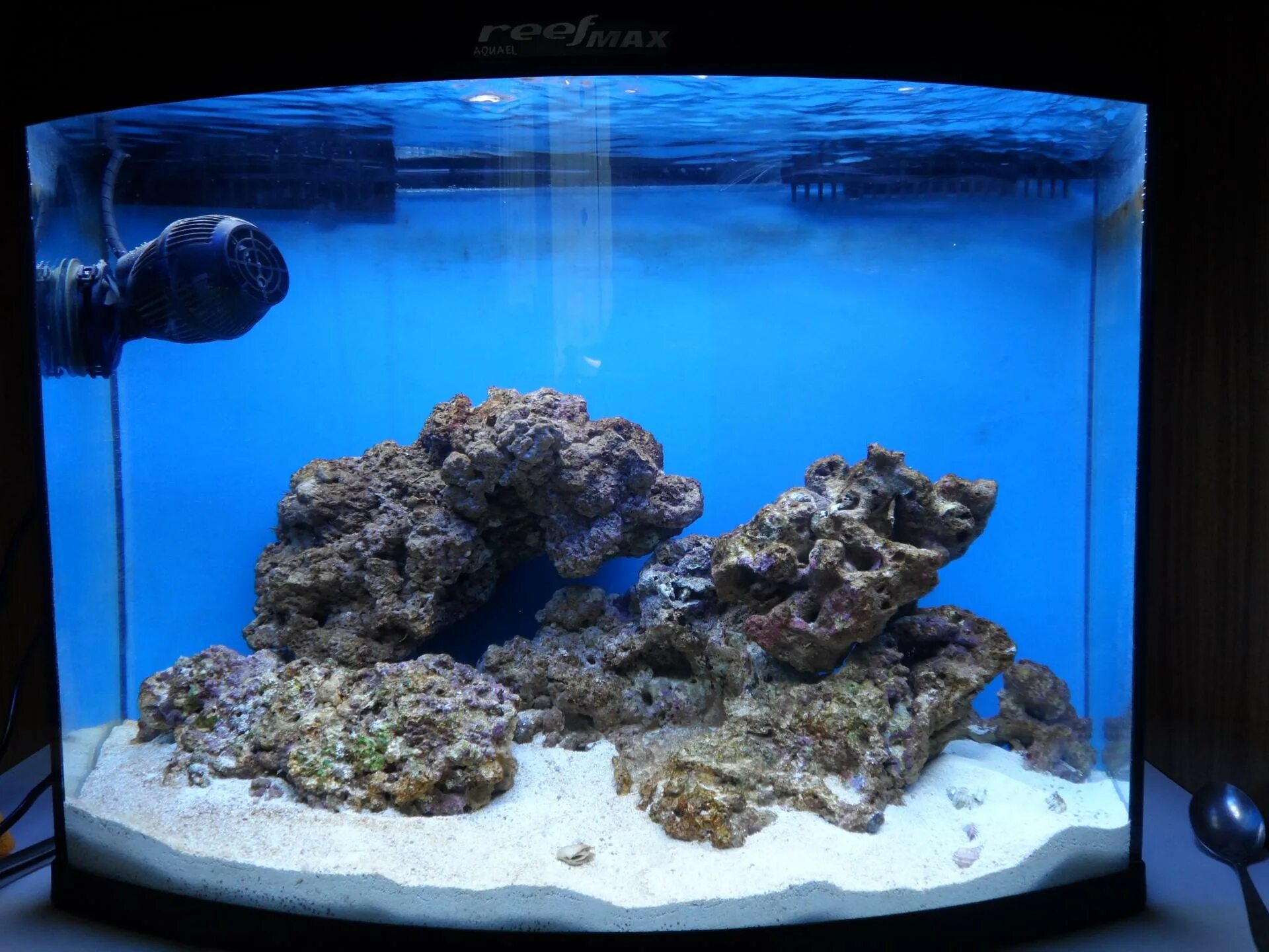 Reefcentral. Электроника морского аквариума. Рифцентрал.