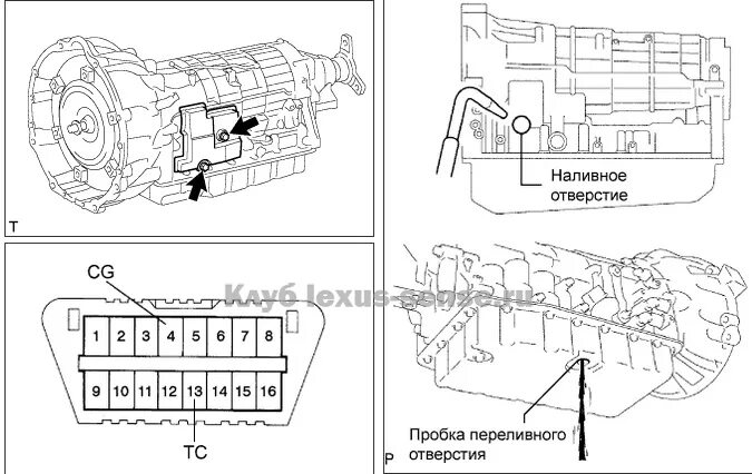 Ls430 заливная пробка АКПП. Датчик уровня масла Лексус РХ 350. Лексус gs300 заливная пробка АКПП. Gs300 Lexus датчик температуры масла АКПП.