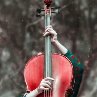 Violin love