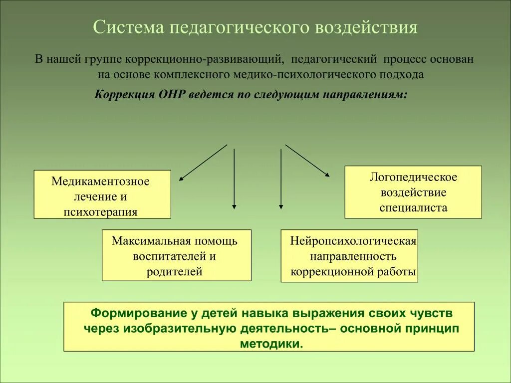 Система педагогических воздействий