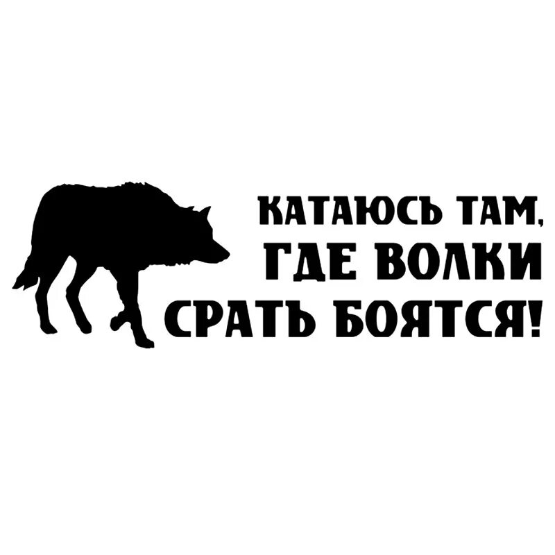 там где волки срать боятся. езжу там где волки боятся. куда волки срать боятся. езжу там где волки боятся. езжу там где волки боятся.