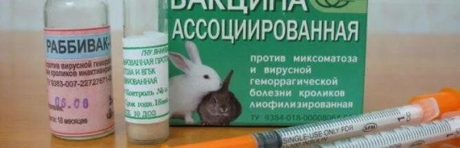 Вакцина миксоматоза инструкция. Вакцина от ВГБК для кроликов Раббивак. Вакцина ВГБК+миксоматоз ассоциированная сухая. Вакцина против миксоматоза кроликов сухая. Вакцина для кроликов от миксоматоза и ВГБК.