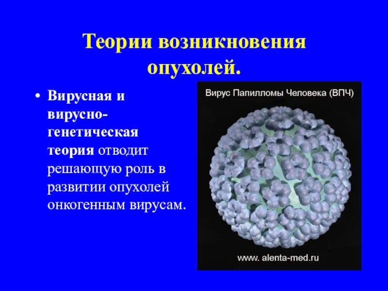 Вирусно генетическая теория опухолей. Теории возникновения опухолей. Вирусная теория опухолей примеры. Вирусно генетическая теория опухолей примеры. Вирусы опухоли