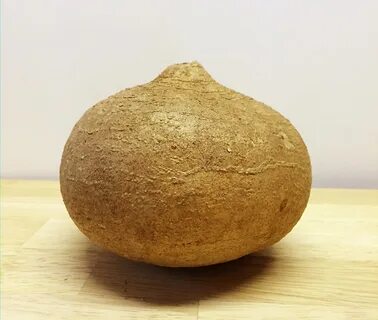 Хикама