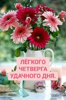 Радостного дня цветы