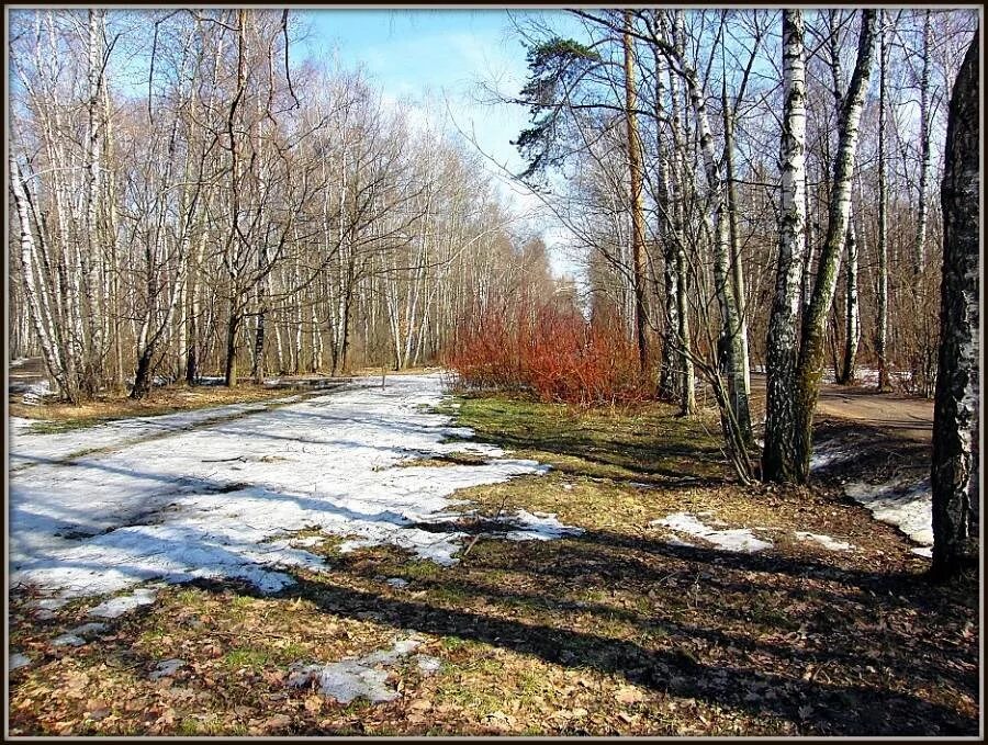 весенние ручьи. ранняя весна. весной снег начал таять. весна ручьи. весна тает снег.