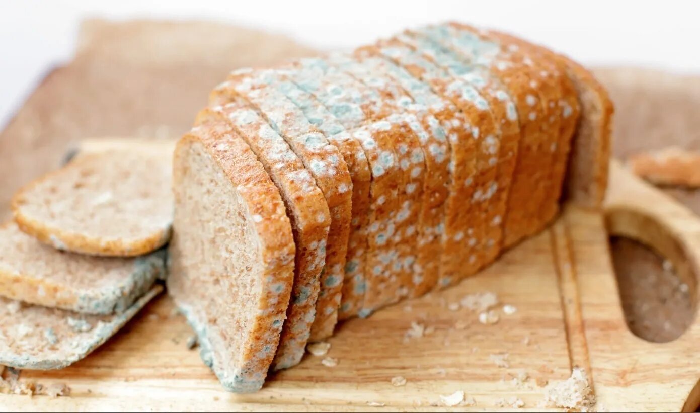 Куда исчез хлеб. Плесень на хлебе. Буханка хлеба в руках. Испорченный хлеб. Формовой хлеб ржано пшеничный зерновой.