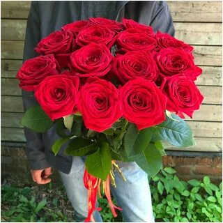 Rose premium