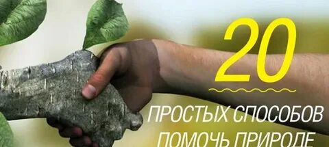 Помогая природе вы