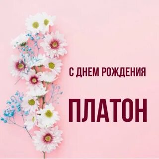 С днем рождения платон