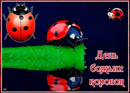 Картинки с 13 июня
