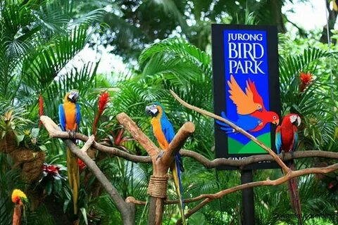 Park bird are you