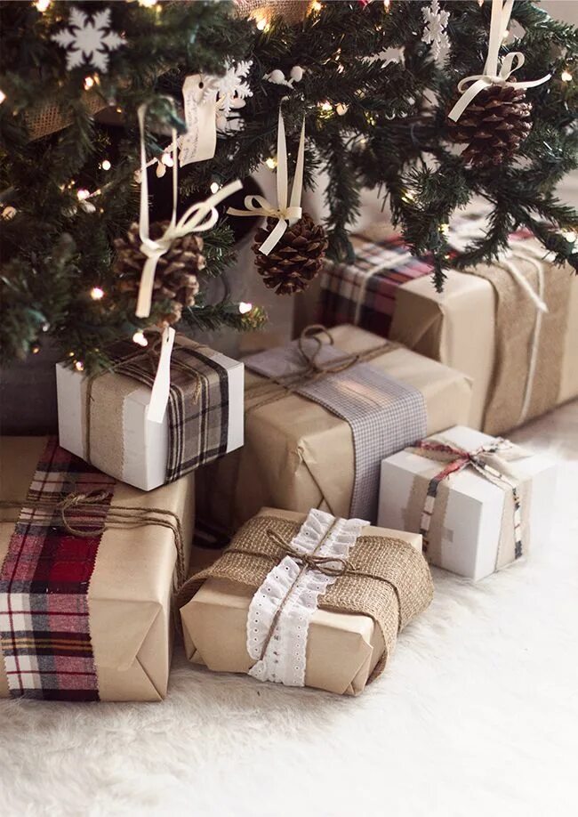 Pin by Niya Topalska on Christmas time Funny christmas cards, Christmas poses, F