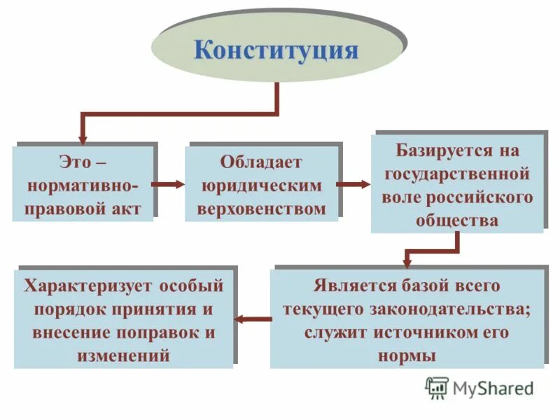 Что отличает конституцию от других