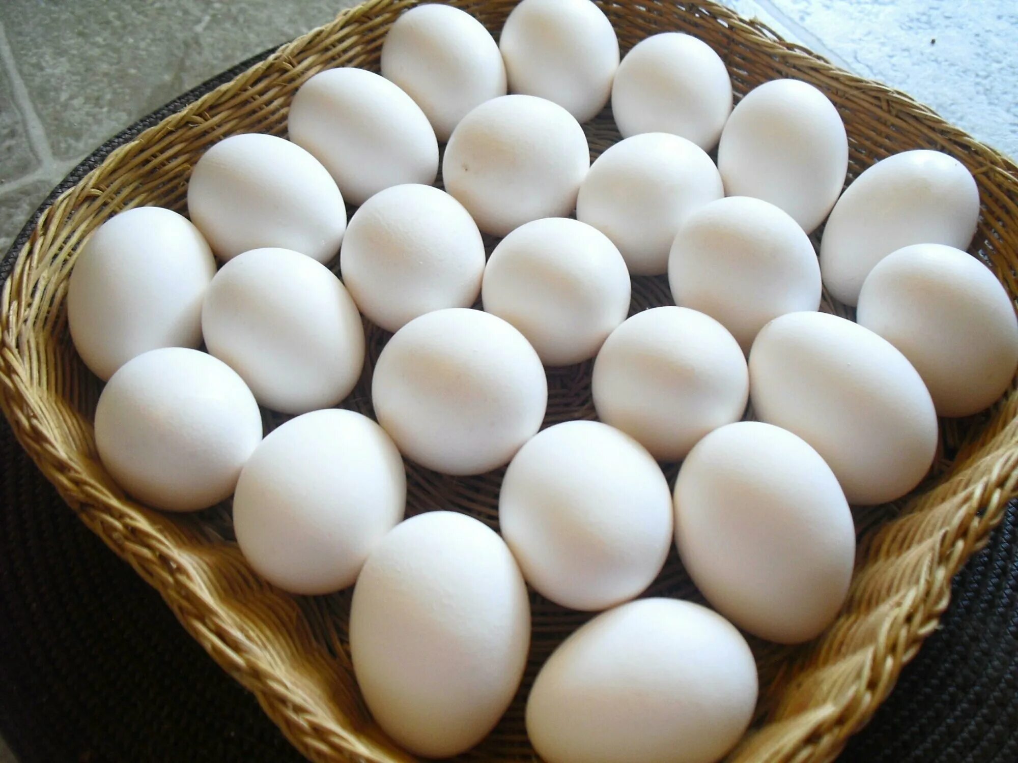 Яйца кур леггорн. Яйцо. Яйцо куриное. Яйцо домашнее. Яйцо белое.