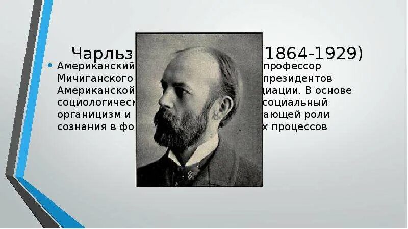 Теория куль. Представители органицизма в социологии.