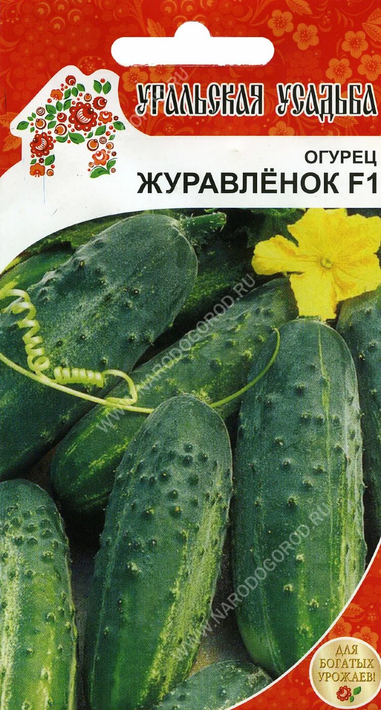 Совместные покупки - Томск - Огурец Журавленок F1 0.3г (Семена Алтая) : Садовый 