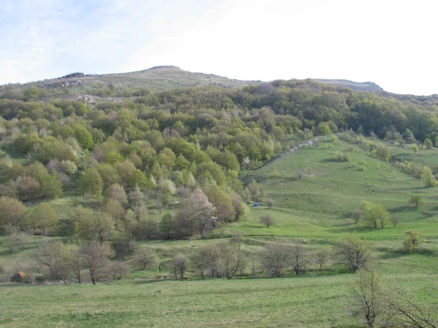 Деревня баш шиды нуримановский район. Голубое озеро башкортостан кармаскалинский район. Нуримановский район дер баш шиды. Деревня насибаш башкирия. Баш шида.