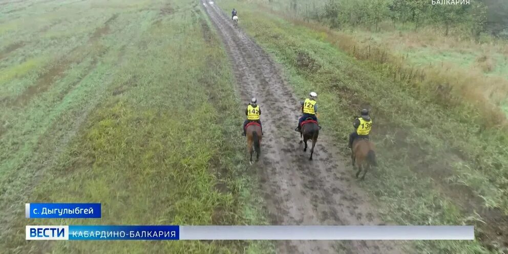 Кабардино-балкария лошади. Пробеги кбр. Пробеги кбр. Пробеги кбр. Нальчикский ипподром скачки.