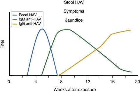 Anti hcv total