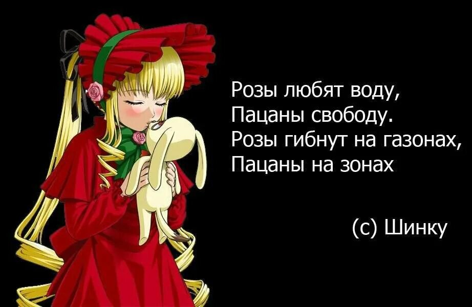 Розы гибнут. Розы любят воду пацаны свободу. Розы гибнут на газонах. Розы гибнут на газонах а пацаны. Розы вянут на газонах пацаны.