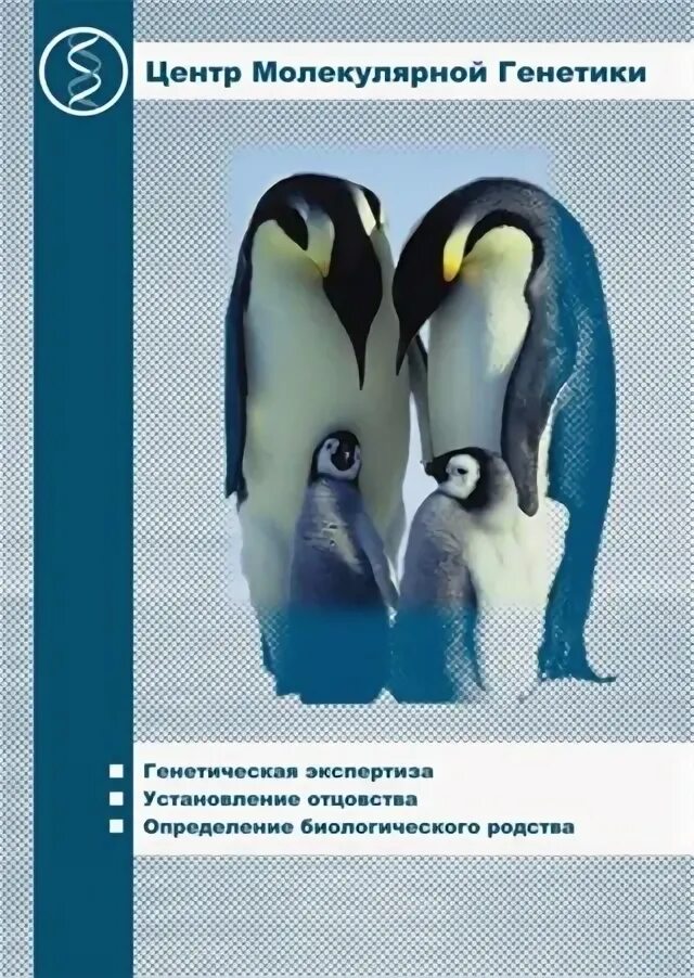 Молекулярно-генетическая лаборатория. Медико-генетический центр бочкова. Генетическая лаборатория пятницкое шоссе 7. Центр молекулярной генетики москва. Академика н.