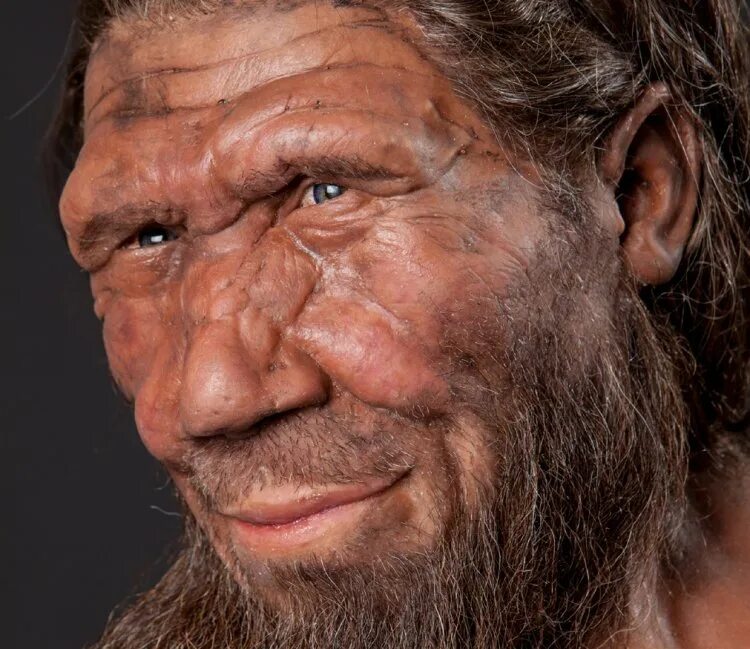 Самого древнего человека. Кроманьонец ( homo sapiens). Неандерталец (homo Neanderthalensis). Хомо сапиенс Денисовский человек неандерталец.