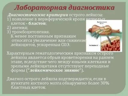 Лабораторная диагностика лейкозов