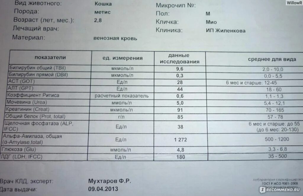 Щелочная фосфатаза в биохимическом анализе крови норма. Щелочная фосфатаза 385. Анализ крови щелочная фосфатаза норма. Щелочная фосфатаза ЩФ норма. Фосфатаза щелочная что это значит у ребенка