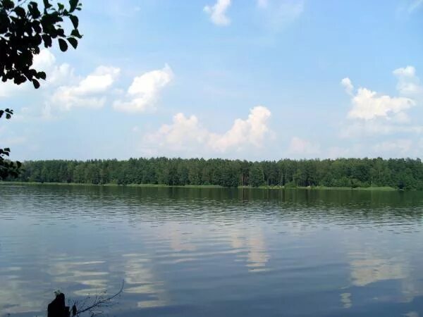 Белое озеро белоозерский. Озеро белое белоозерский воскресенский. Белоозерский московская область озеро. Срамное озеро белоозерский. Озеро белое белоозерский воскресенский.