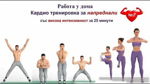 Кардио тренировки для зала