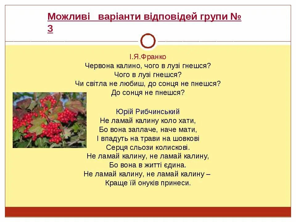 Лузи червона калина текст. Червона калина. червона калина слова. червона калина перевод. слова червона калина на русском.