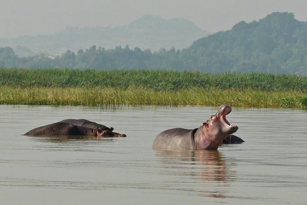 озеро в эфиопии. озеро хавасса эфиопия. озеро тана в африке. водопад тис ысат в эфиопии. озеро в эфиопии.