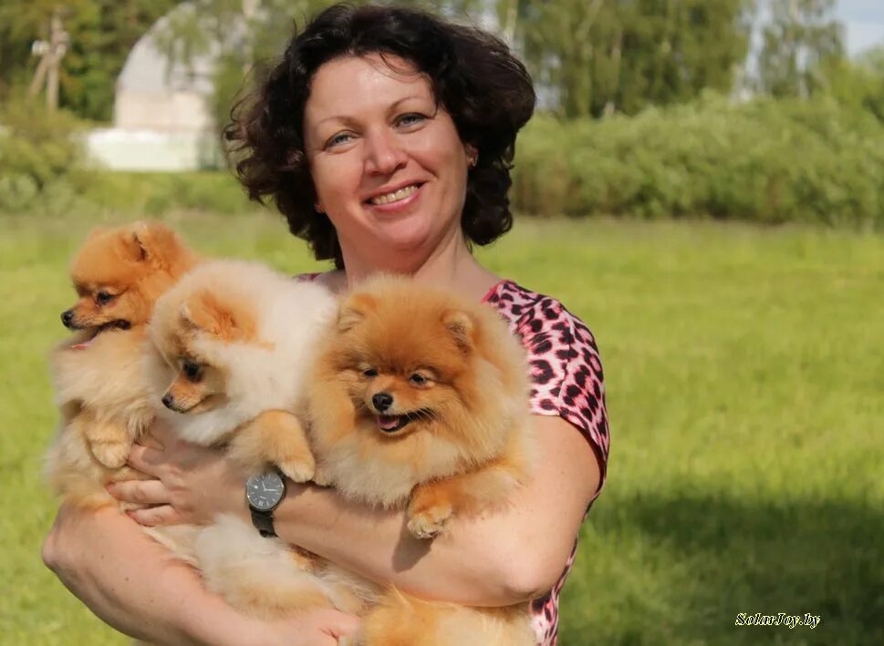 питомник солар