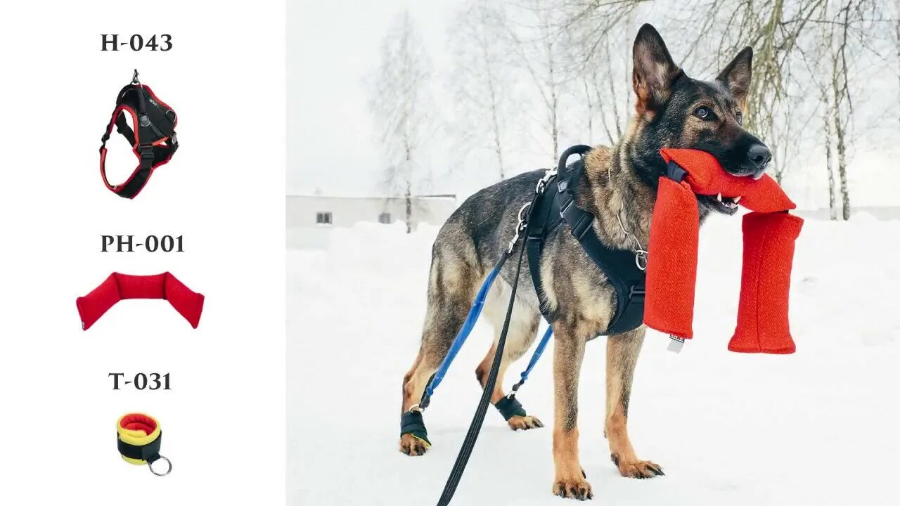 Шлейка веро классик kinologprofi. Шлейка веро классик kinologprofi. Кинолог профи. Шлейка веро к9 профи. Шлейка к9 профи.