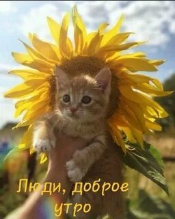Смешные картинки с животными с пожеланиями