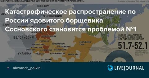 Карта борщевика сосновского