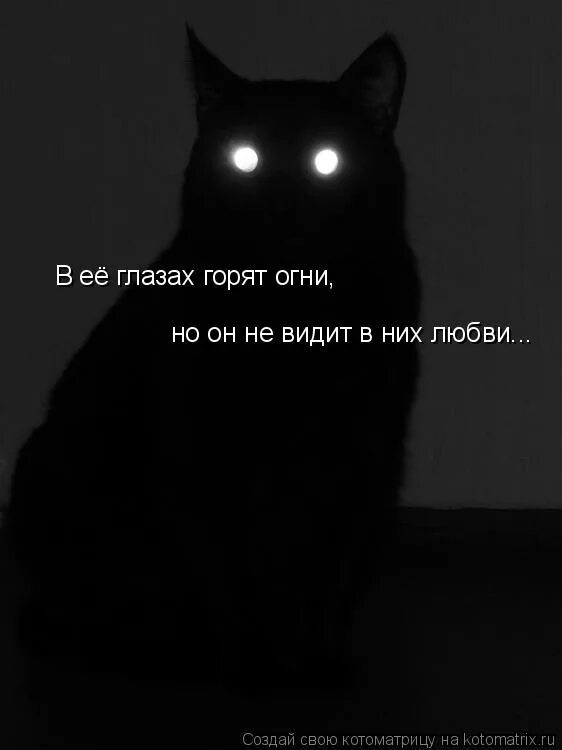 Глаз горит выражение. Цитаты про горящие глаза.