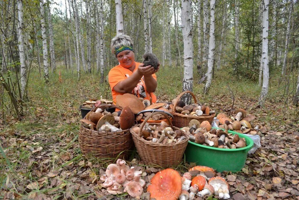 Пошли ли строчки. Ёлкино Воскресенский район грибы. Ёлкино Воскресенский район Московская область грибы. Грибные места. В лес за грибами.
