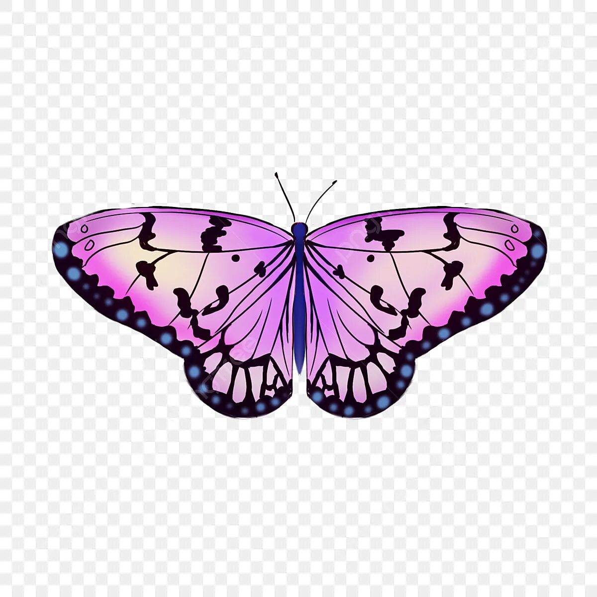 Фиолетовые бабочки картинки. Бабочки сиреневые на белом фоне. Сиреневые бабочки на прозрачном фоне. Бабочки сиреневые для печати. Фиолетовые бабочки на прозрачном фоне.