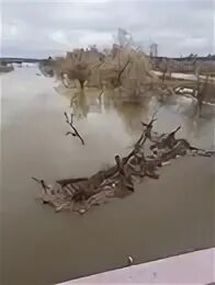 Уровень клязьмы ковров