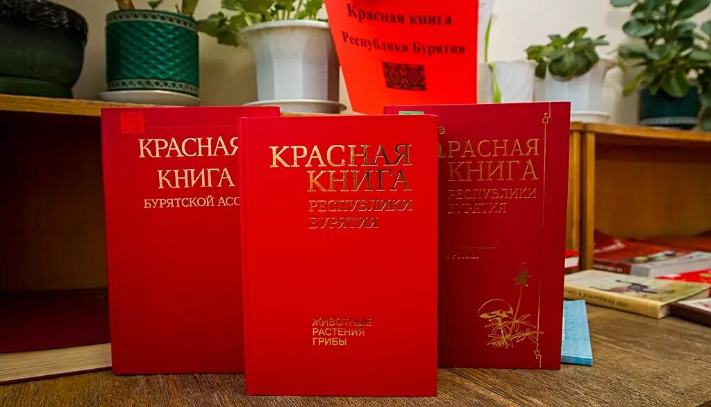 Красная книга фото. Красная книга Республики Бурятия книга. Региональная красная книга. Животные красной книги в Бурятии. Растения красной книги Бурятии.