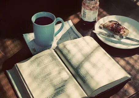 Книга утро