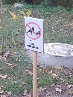 Не прошел б