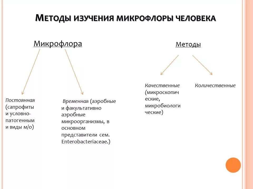 Методы изучения нормальной микрофлоры человека. Методы изучения микрофлоры человека микробиология. Методы изучения микрофлоры тела человека.. Методы изучения роли нормальной микрофлоры организма человека. Методики изучения человека