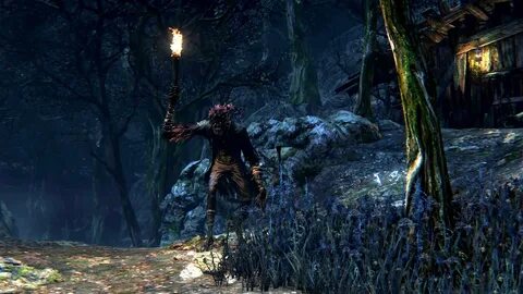 Игры запретный лес игры запретные
