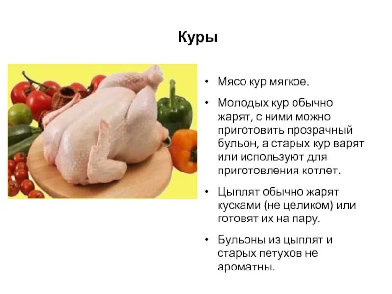 Кур перевод на русский. Презентация на тему мясо птицы. Виды мяса птицы. Приготовление блюд из мяса и домашней птицы. Мясо птицы в питании человека.