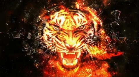 Tiger gaming