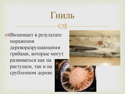 Является приростами древесины