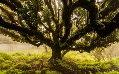 M nature